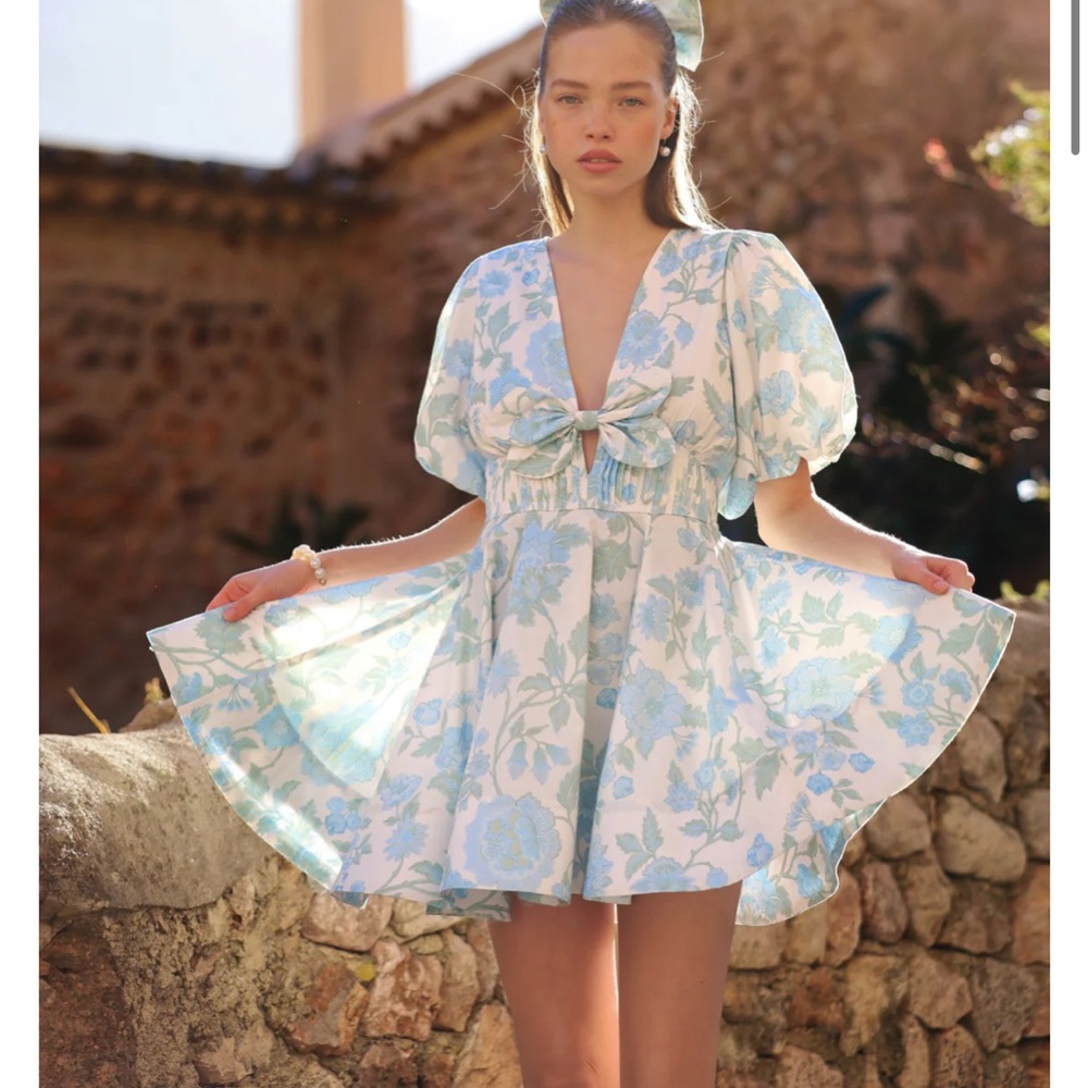 Floral Blue and White Mini Dress